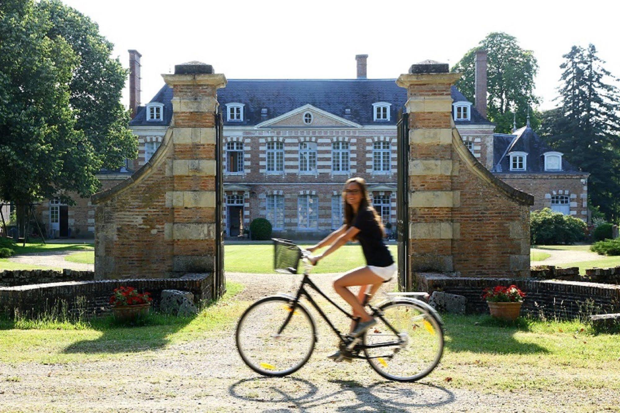 Chateau De La Giraudiere Villeny Exteriör bild